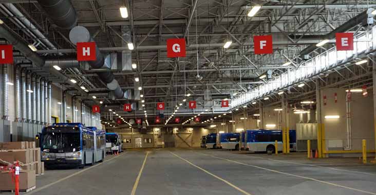 Edmonton New Flyer D60LFR 4923